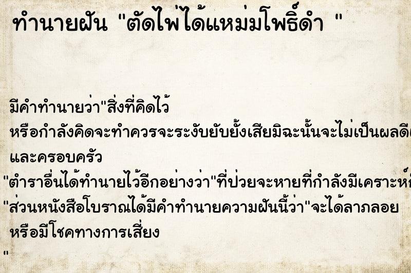 ทำนายฝัน ตัดไพ่ได้แหม่มโพธิ์ดำ 